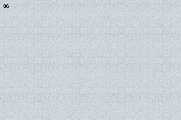 Light gray background, intricate floral designs, barely visible, repeating pattern. "06" in the top left corner. Elements: light gray, floral patterns, numeric detail (06).