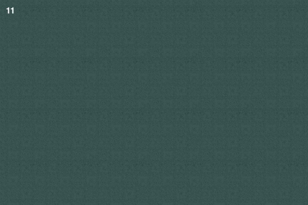 Green, textured background resembling a well-maintained lawn. Number "11" in small white font at the top left corner.