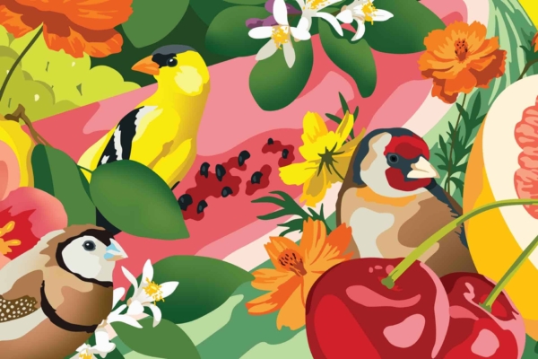 Vibrant wallpaper featuring brightly colored birds, blooming flowers, ripe cherries, a watermelon slice, and various leafy greens. Rich in detail with lively colors such as red, green, yellow, blue, and pink. Nature-filled charm perfect for a lively décor.