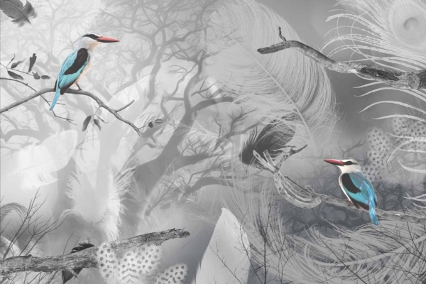 Wallpaper description: Grayscale forest scene with abstract feather and foliage patterns blending with tree silhouettes in the background. Two colorful kingfisher birds perched on branches stand out, featuring vivid blue and white feathers alongside bright red beaks.