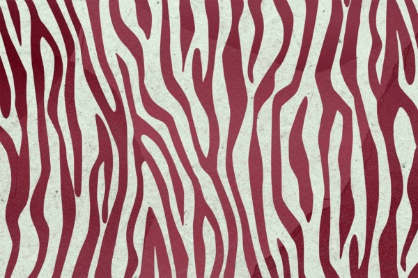 A pattern featuring irregular maroon and white wavy zebra-like stripes, subtly enhanced with hints of Purple Reign. The elements include dynamic waves and abstract shapes in maroon, white, and purple hues. A visually captivating design perfect for a striking wallpaper effect.