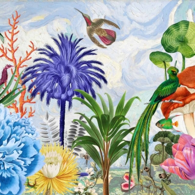 A vibrant and whimsical wallpaper illustration features exotic plants and flowers like bright blue peonies, red mushrooms, and pink tulips. Scattered throughout are birds such as hummingbirds and parrots, all set against a cloudy sky backdrop. The design bursts with vivid colors including blues, reds, pinks, greens, and yellows.