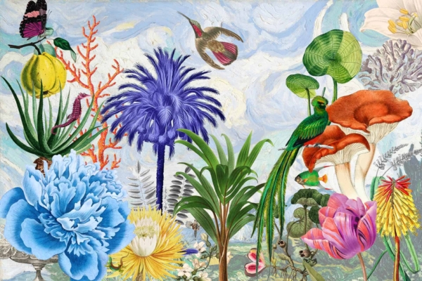 A vibrant and whimsical wallpaper illustration features exotic plants and flowers like bright blue peonies, red mushrooms, and pink tulips. Scattered throughout are birds such as hummingbirds and parrots, all set against a cloudy sky backdrop. The design bursts with vivid colors including blues, reds, pinks, greens, and yellows.