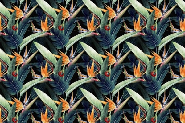 Vibrant tropical wallpaper with repeating patterns of green leaves and Bird of Paradise flowers. Striking orange and blue flowers set against a black background. Lush, exotic, symmetrical design elements in green, orange, blue, and black.