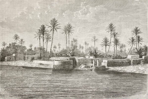 Old black and white wallpaper features serene riverside with tall palm trees, calm water reflecting trees and sky, scattered ancient ruins. Background shows horizon with more palm trees blending into cloudy sky.