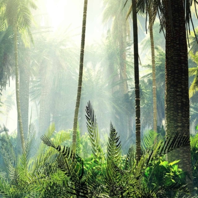 Wallpaper featuring a lush, tropical rainforest. Elements: towering palm trees, dense foliage, vibrant green leaves. Colors: various shades of green with soft sunlight casting a serene glow. Arabesque atmosphere.