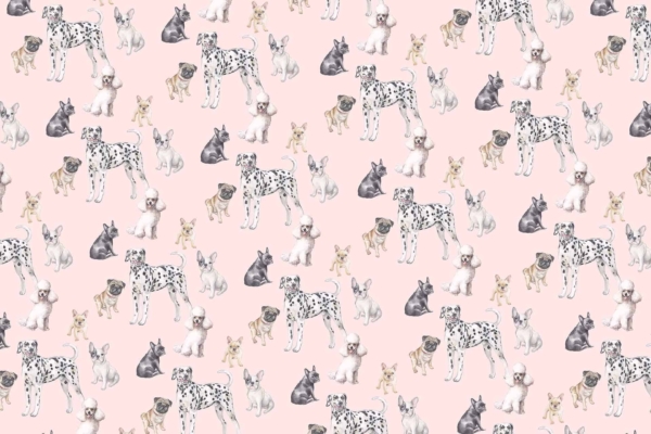 Seamless pattern wallpaper; light pink background, Dalmatians, Chihuahuas, French Bulldogs, Pugs; various postures and sizes; playful and lively design. Key elements: dog breeds, pink backdrop.