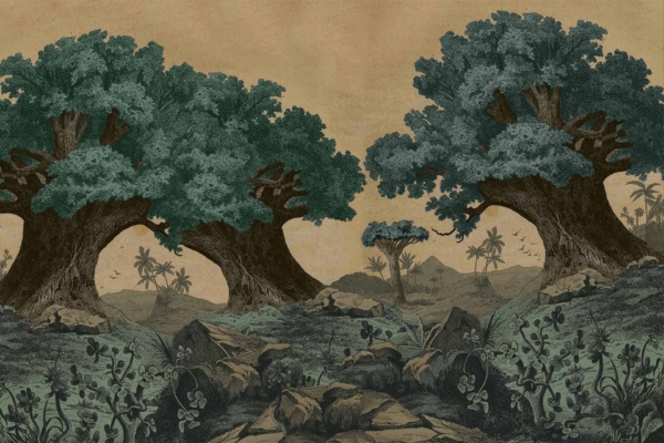 Scenic wallpaper: Forest with large, dense trees in the foreground, smaller trees, rocks, plants scattered throughout. Distant background has palm trees and birds. Subtle light brown sky. Elements: dense foliage, forest landscape, palm trees, wildlife. Colors: green (various shades), brown (light to dark), subtle light brown sky.