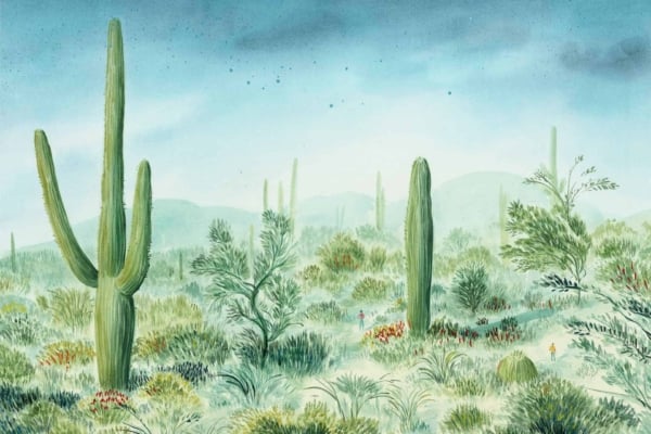 Wallpaper: Features tall saguaro cacti, various desert plants, misty blue sky, small figures exploring vegetation for scale, expansive landscape, hazy background mountains. Colors: Green cacti, earthy browns and yellows of vegetation and ground, misty blue sky.