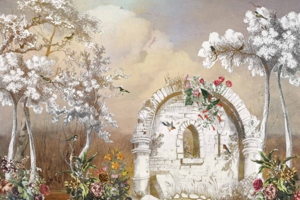 Discover a whimsical, serene wallpaper featuring an aged stone structure with an arched window adorned with red roses and ivy. Surrounding are tall, slender white trees and various colorful flowers. Birds perch on branches and the structure, all under a soft, muted sky creating a peaceful ambiance. Key elements: stone structure, arched window, red roses, ivy, white trees, colorful flowers, birds on branches.