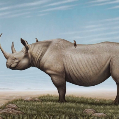 A realistic wallpaper featuring a Black Rhino standing on grassy terrain. Under a blue sky with wispy clouds, two birds are perched on its back. In the background, distant mountain range meets the horizon with a meandering stream flowing through the grassy field. Highlights include rhino's textured skin, green grass, clear blue sky, white clouds, small birds in neutral tones, grey mountains and reflective water of the stream.