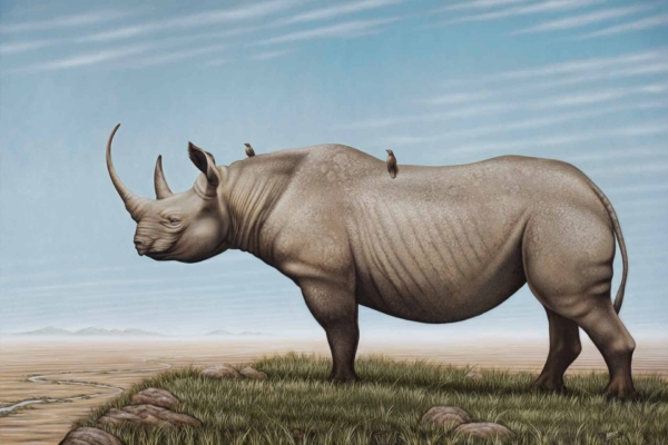 A realistic wallpaper featuring a Black Rhino standing on grassy terrain. Under a blue sky with wispy clouds, two birds are perched on its back. In the background, distant mountain range meets the horizon with a meandering stream flowing through the grassy field. Highlights include rhino's textured skin, green grass, clear blue sky, white clouds, small birds in neutral tones, grey mountains and reflective water of the stream.