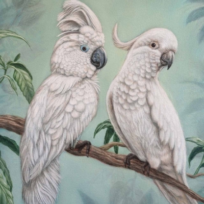 The wallpaper features:
- Two white cockatoos perched on a branch
- Left bird with a prominent crest standing up
- Right bird with a smaller, curved crest
- Striking white feathers of the cockatoos
- Soft green hues and hints of leaves in the background, creating a natural setting