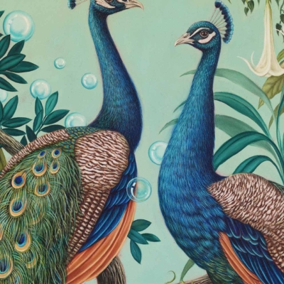 Wallpaper features: two peacocks, perched on a branch, lush foliage, vivid blue and green plumage, iconic tail feathers (left bird), floating bubbles, whimsical touch.