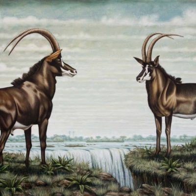 Illustrated wallpaper featuring two sable antelopes standing on opposite sides of a cascading waterfall, both showcasing their long, curved horns as they face each other. Set against a backdrop of a cloudy sky and lush greenery, the scene is further enriched with the majestic presence of a black rhino sharing this serene habitat. The wallpaper captures elements like vibrant greenery, flowing water, and an overcast sky with colors ranging from rich emerald greens to soft grays and deep earthy tones.
