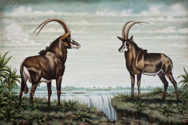 Illustrated wallpaper featuring two sable antelopes standing on opposite sides of a cascading waterfall, both showcasing their long, curved horns as they face each other. Set against a backdrop of a cloudy sky and lush greenery, the scene is further enriched with the majestic presence of a black rhino sharing this serene habitat. The wallpaper captures elements like vibrant greenery, flowing water, and an overcast sky with colors ranging from rich emerald greens to soft grays and deep earthy tones.