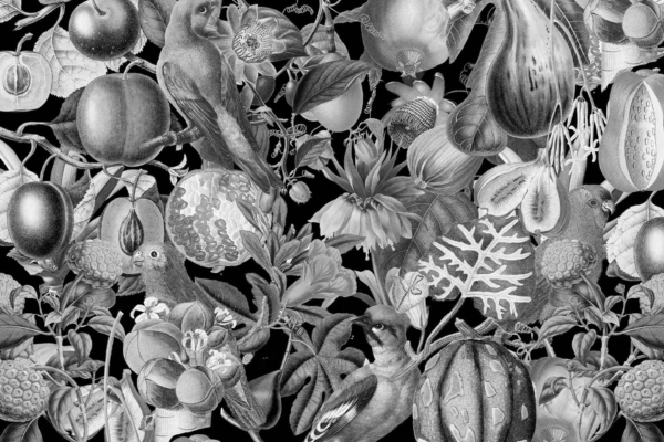 A detailed black-and-white illustration, reminiscent of Japanese files, showcases an array of fruits, flowers, leaves, and birds intricately intertwined. The composition includes pumpkins, gourds, pomegranates, and other flora and fauna. The dense design covers the wallpaper with no color but detailed line work for each element: pumpkins, gourds, pomegranates among the flora; various birds perched or in flight; leaves overlaying flowers intricately woven throughout the scene.