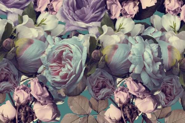Between Blossoms" wallpaper presents a lush floral pattern with roses, peonies, and greenery in lavender, pink, and white hues set against a dark teal background. This design offers an elegant botanical aesthetic featuring rich flower varieties.