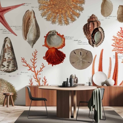 Wallpaper features large, detailed illustrations of various seashells and corals in earthy tones. Elements include shells, corals. Colors: beige, brown, cream, soft green.