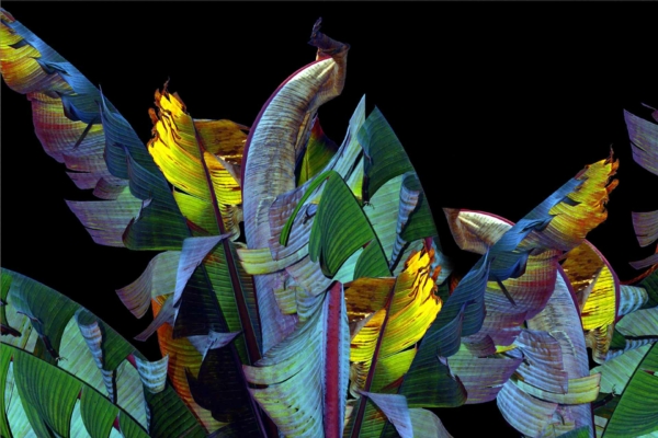 Abstract digital artwork featuring colorful leaves with hues of green, blue, yellow, and purple against a black background. The leaves have a textured, layered appearance reminiscent of African Essence. The composition is vibrant and dynamic with a slightly surreal feel.