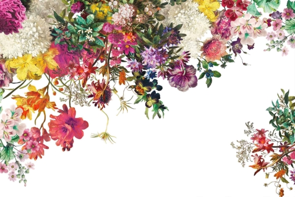 Wallpaper features an arrangement of colorful flowers: pink, yellow, purple, and white blooms. Flowers scattered along the top and right edges against a white background. Includes green foliage, creating a vibrant paradise-like border with various flower types.