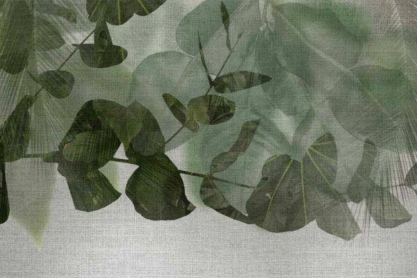 Abstract wallpaper featuring overlapping, semi-transparent green leaves with visible veins and stems. Light gray textured background. Floating, blending leaves create an ethereal effect. Colors: shades of green, light gray. Elements: overlapping leaves, visible veins and stems, semi-transparency, textured background.