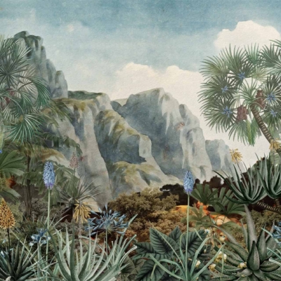 Wallpaper of a lush landscape featuring tropical plants with large, spiky leaves in the foreground. Tall palm trees are prominent. Background shows rugged, green mountains under a partly cloudy sky. Highlights land conservation efforts to prevent soil degradation. Predominant colors: green, blue, shades of brown and white.