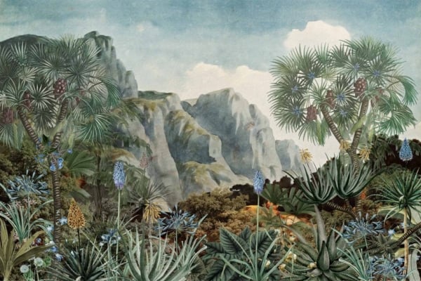 Wallpaper of a lush landscape featuring tropical plants with large, spiky leaves in the foreground. Tall palm trees are prominent. Background shows rugged, green mountains under a partly cloudy sky. Highlights land conservation efforts to prevent soil degradation. Predominant colors: green, blue, shades of brown and white.