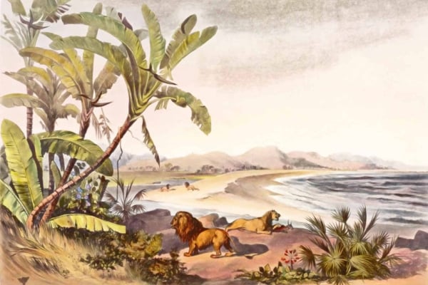 Vintage beach wallpaper: two lions resting on sandy shore, tropical beach setting. Palm trees and lush vegetation on left. Hazy sky, ocean waves gently lap the shore. Distant mountains visible. Warm earth tones, lush greens, soft blues, and muted grays dominate the scene.
