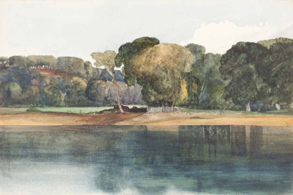 Serene lakeside watercolor wallpaper features lush green trees, a fallen tree on the shore, and calm water reflecting vibrant greenery. Lightly clouded sky adds to the tranquil ambiance. Predominant colors: lush greens, serene blues, earthy browns, and soft whites. Beautiful nature elements evoke peace and tranquility.