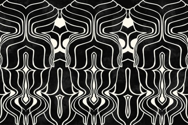 A black and white abstract pattern with symmetrical, flowing, and intertwining lines. Intricate shapes evoke organic, stylized forms with a sense of movement and fluidity. Dreamy elegance akin to wisteria. Key elements: black, white, symmetrical lines, organic forms, movement, fluidity.