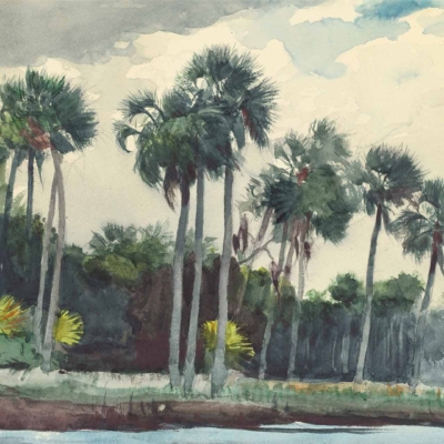 Watercolor tropical landscape, tall palm trees, lush green foliage, partly cloudy sky, dense green forest background. Foreground: calm water reflecting vibrant trees. Colors: greens, blues, subtle cloud whites.