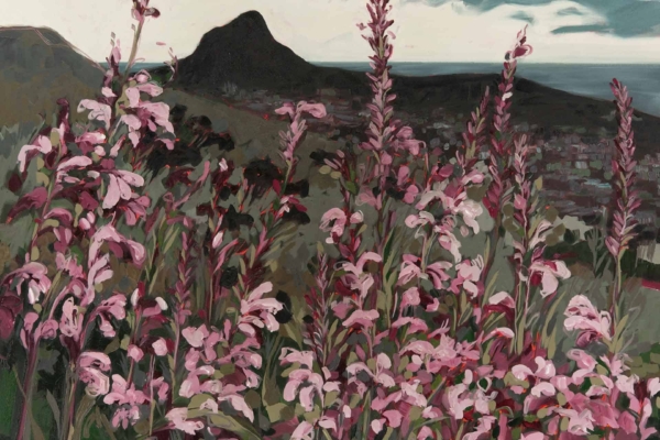Wallpaper features a landscape with tall, pink wildflowers. Background includes a dark, mountainous hill and a cloudy sky. Colors: pink (wildflowers), dark tones (hill), gray/white (cloudy sky). Serene, natural ambiance with view of distant town nestled in hills.