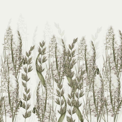 Description: Botanical wallpaper featuring tall grasses and flowering plants with muted green leaves and beige flowers. The light background enhances the intricate detailing, giving a delicate, natural feel.
Key elements:
- Tall grasses
- Flowering plants
- Muted green leaves
- Beige flowers
- Light background
- Intricate detailing