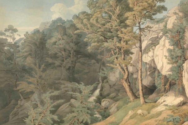 Wallpaper: Featuring a dense forest with tall, leafy trees in shades of deep green and earth tones, rugged rocks in muted grays and browns. A small waterfall cascades down the rocks, enveloped by lush greenery in various shades of green. Partly cloudy sky with hues of soft blue and white, adding a serene ambiance reminiscent of scenes from Outlander.