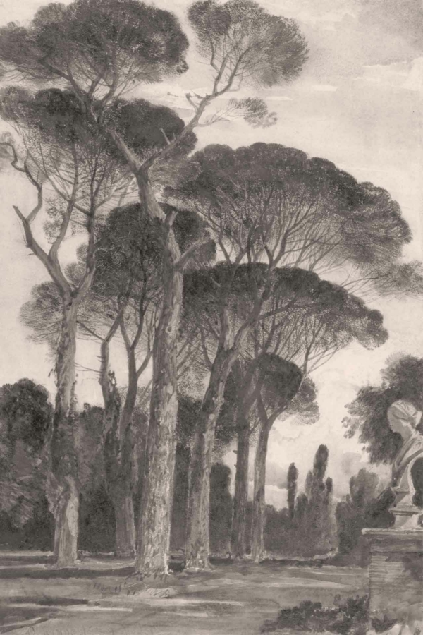 The wallpaper features tall, slender pine trees with broad, rounded canopies, set in a serene natural environment. Background elements include rustling bushes and smaller trees. A statue on a pedestal is partially visible on the right. The artwork is monochrome, emphasizing shades of black, white, and grey.