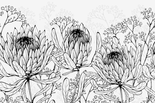 A black and white wallpaper illustration features three large, intricately detailed protea flowers. The background is adorned with delicate baby's breath flowers and leafy stems, creating a textured, botanical scene. Prominent elements include blooming protea, baby's breath, and leafy stems in monochrome hues.