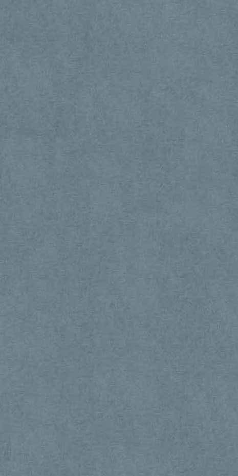 portrait_plains Textured blue background: subtle, mottled, slightly rough appearance. Even color distribution. Calm, neutral backdrop. Key elements: blue texture, subtle mottling, slight roughness.