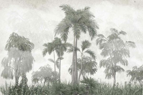 Wallpaper features:
- Soft, misty landscape
- Tall palm trees
- Lush greenery
- Foggy atmosphere
- Dream-like ambiance
- Tree silhouettes fading into background
Color Palette:
- Various shades of green (lush plants)
- Gray and white (fog and mist)