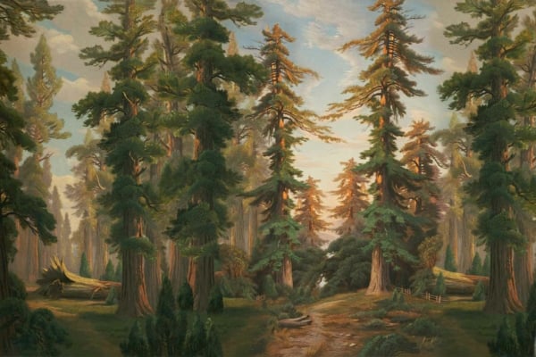 A serene forest scene wallpaper features tall, majestic trees with lush green foliage bathed in soft sunlight. The forest floor is covered with greenery and a narrow dirt path winds through the trees. Dominant colors include various shades of green, earthy browns, and dappled sunlight yellows. Elements: peaceful atmosphere, natural beauty, inviting path.