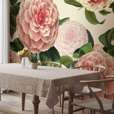 The wallpaper features large, detailed Camellia flowers in pink and white with lush green leaves.