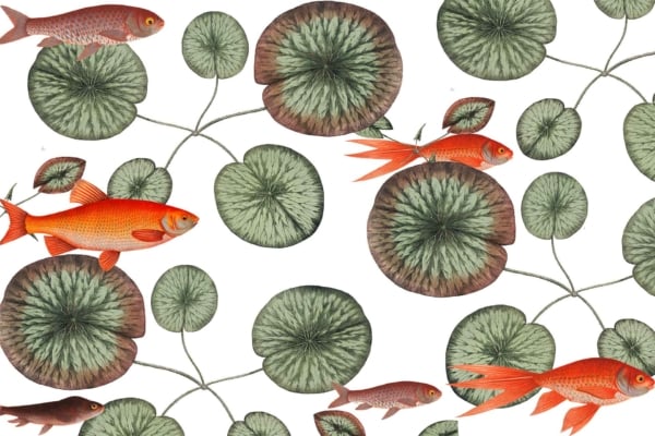 Aquarium wallpaper pattern features: vibrant orange and goldfish (e.g., goldfish), green lily pads with detailed textures against a white background. The fish swim in various directions, creating dynamic movement. The color palette includes oranges, golds, greens, and white.