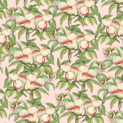 A seamless pattern featuring clusters of ripe peaches with green leaves on a soft pink background. Peaches have natural, hand-drawn appearance in red and yellow hues. Lush green foliage adds a fresh, vibrant touch.