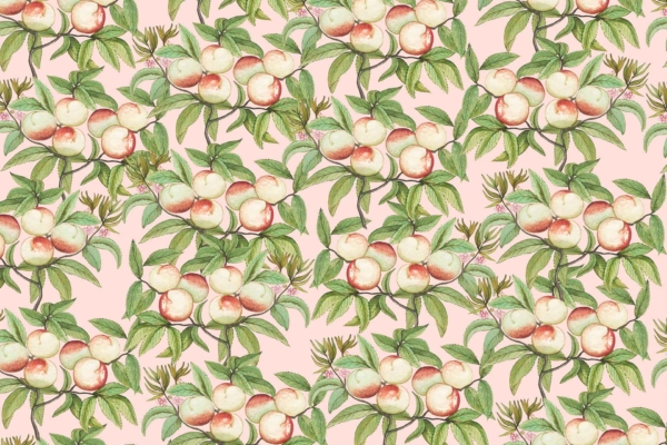 A seamless pattern featuring clusters of ripe peaches with green leaves on a soft pink background. Peaches have natural, hand-drawn appearance in red and yellow hues. Lush green foliage adds a fresh, vibrant touch.