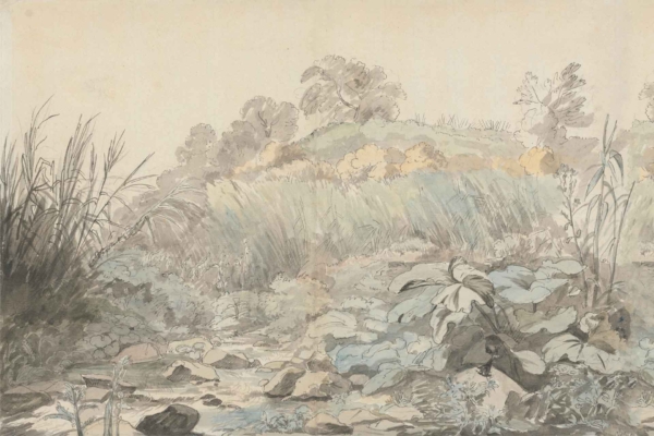 A serene watercolor wallpaper depicts a pastoral landscape with a small stream flowing through lush greenery, tall grasses, and broad-leaved plants. Rocks are scattered throughout the area. Gentle hills and trees blend softly into the sky. Birds perch on tree limbs. Colors include various shades of green, blue, brown, and soft pastels for the sky.