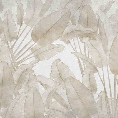 Minimalist botanical wallpaper featuring large overlapping banana leaves in muted beige tones. Background is light gray, creating a soft and ethereal appearance. Elements: banana leaves, overlapping layers, muted beige, light gray background.