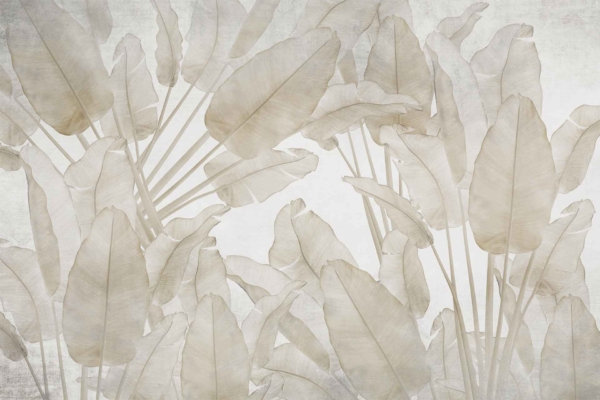Minimalist botanical wallpaper featuring large overlapping banana leaves in muted beige tones. Background is light gray, creating a soft and ethereal appearance. Elements: banana leaves, overlapping layers, muted beige, light gray background.