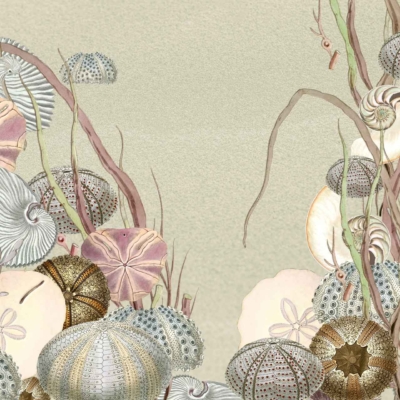 Wallpaper features: Whimsical ocean-themed border with various sea creatures and plants.

Elements:
- Urchins
- Shells
- Starfish
- Seaweed

Colors:
- Coral pink (urchins, starfish)
- Soft beige (background)
- Turquoise (shells)
- Deep green (seaweed)

Setting:
- Light, sandy beige background evokes a calm coastal setting near the equator.