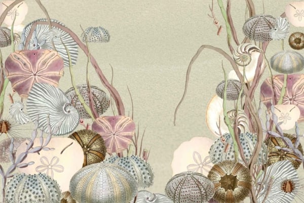 Wallpaper features: Whimsical ocean-themed border with various sea creatures and plants.
Elements:
- Urchins
- Shells
- Starfish
- Seaweed
Colors:
- Coral pink (urchins, starfish)
- Soft beige (background)
- Turquoise (shells)
- Deep green (seaweed)
Setting:
- Light, sandy beige background evokes a calm coastal setting near the equator.