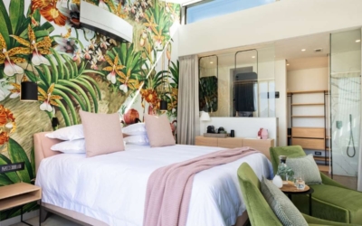 Budget Wallpaper vs Luxury Wallpaper